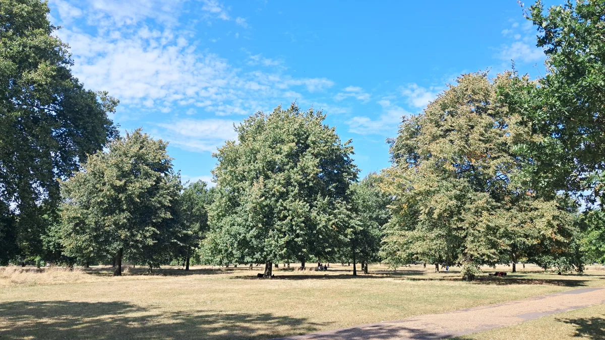 visuel secondaire sur Hyde Park Londres