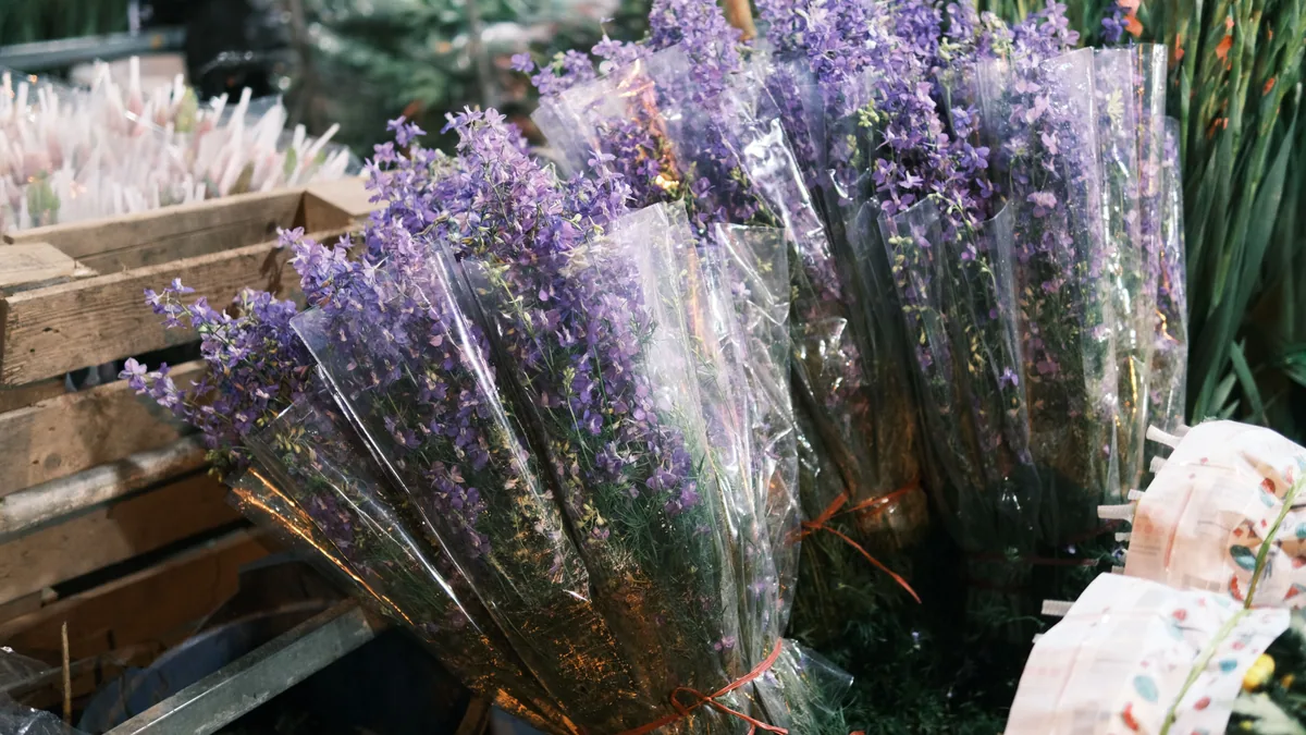Vue de Londres pour Columbia Road Flower Market